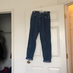 CLASSIC GAP mom jeans size 10 REG